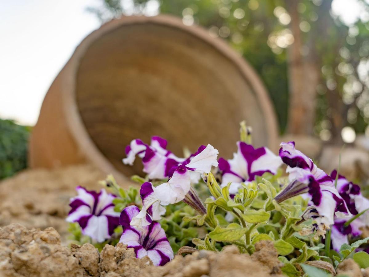 Aggel'S House - Stone House - Private Pool - Courtyard - Countryside Views Villa Kato Episkopi Bagian luar foto