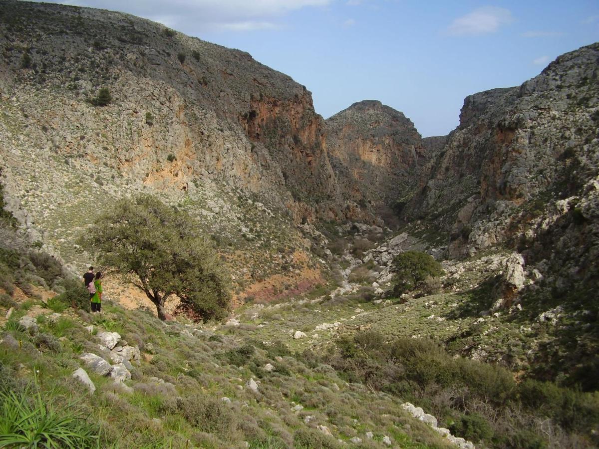 Aggel'S House - Stone House - Private Pool - Courtyard - Countryside Views Villa Kato Episkopi Bagian luar foto